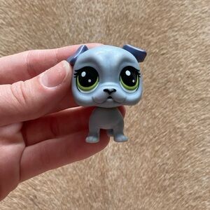 LPS Grey Bull Dog